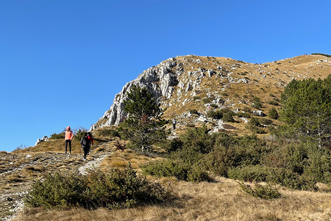 GEN-I pohodno društvo